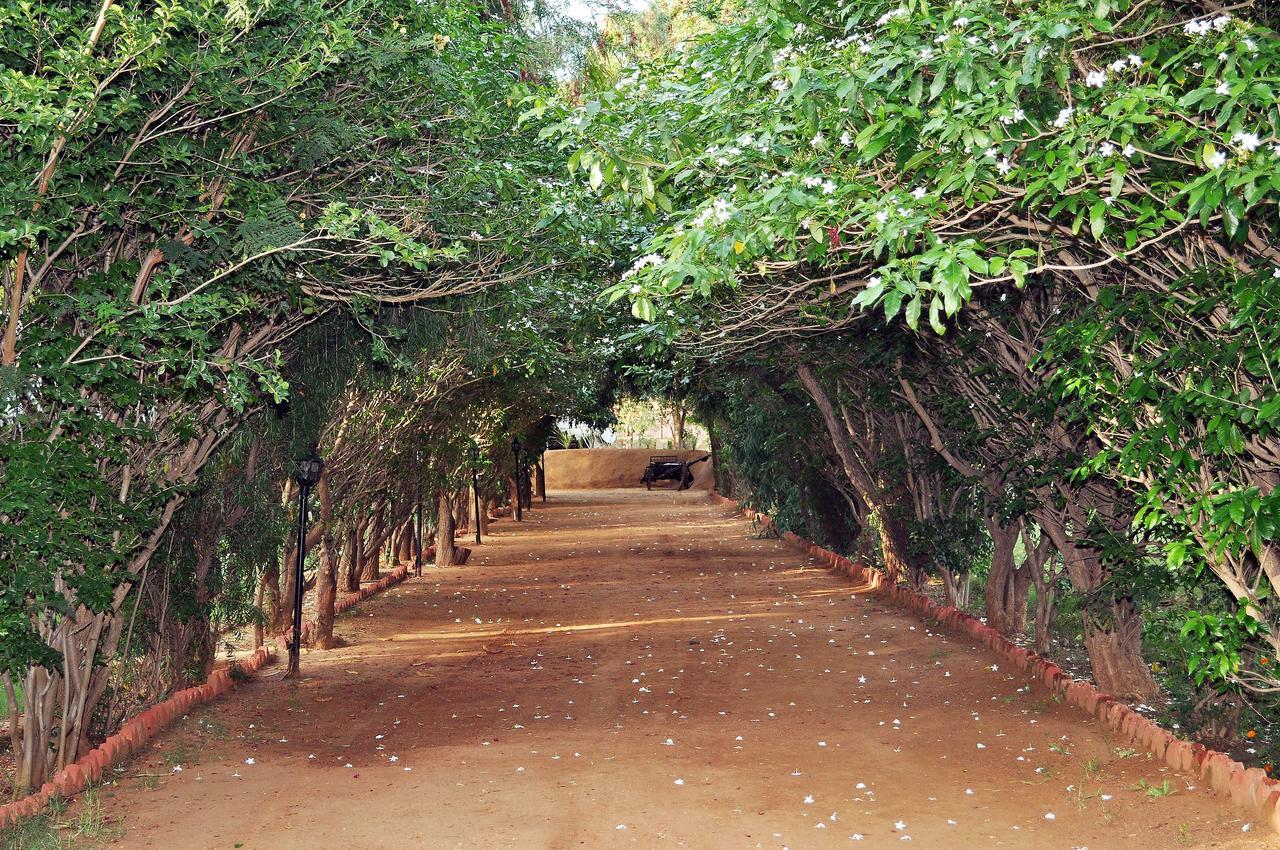 Tiger Machan Resort Ranthambore Εξωτερικό φωτογραφία